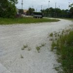 article image -